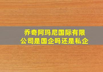 乔奇阿玛尼国际有限公司是国企吗还是私企