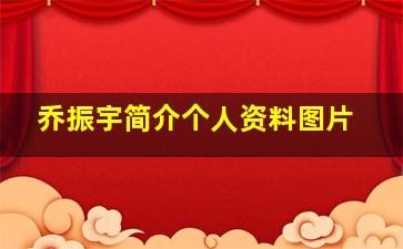 乔振宇简介个人资料图片