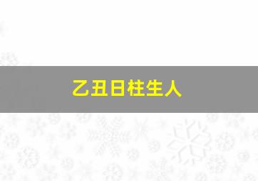 乙丑日柱生人