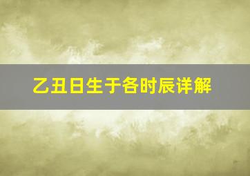 乙丑日生于各时辰详解