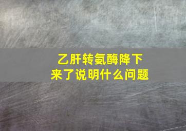 乙肝转氨酶降下来了说明什么问题