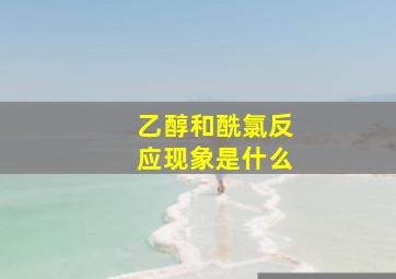 乙醇和酰氯反应现象是什么