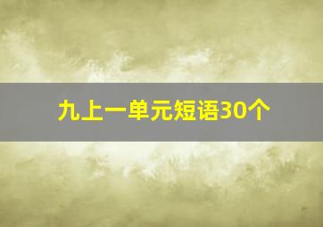 九上一单元短语30个