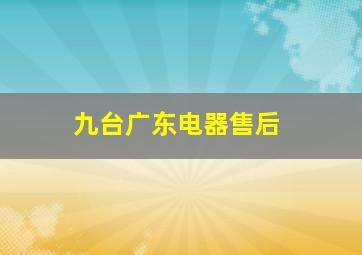 九台广东电器售后