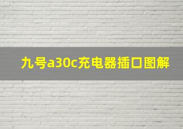 九号a30c充电器插口图解