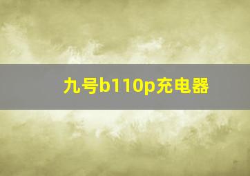 九号b110p充电器