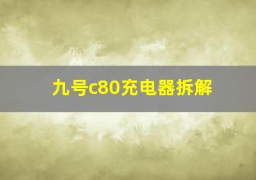 九号c80充电器拆解