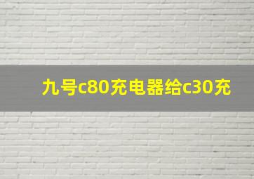 九号c80充电器给c30充