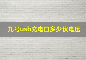 九号usb充电口多少伏电压