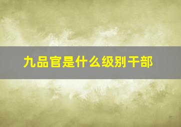 九品官是什么级别干部