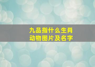 九品指什么生肖动物图片及名字