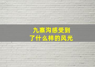 九寨沟感受到了什么样的风光