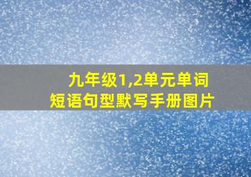 九年级1,2单元单词短语句型默写手册图片