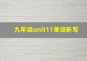 九年级unit11单词听写