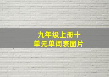 九年级上册十单元单词表图片