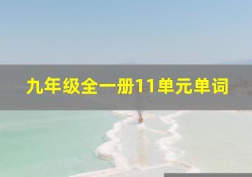 九年级全一册11单元单词