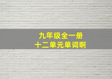 九年级全一册十二单元单词啊