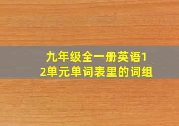 九年级全一册英语12单元单词表里的词组