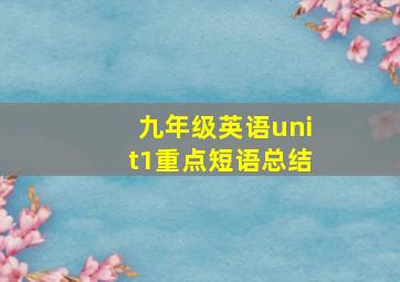 九年级英语unit1重点短语总结