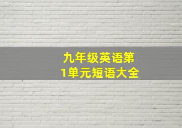 九年级英语第1单元短语大全