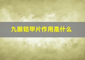 九眼铠甲片作用是什么