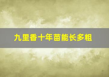 九里香十年苗能长多粗