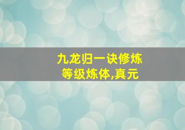 九龙归一诀修炼等级炼体,真元