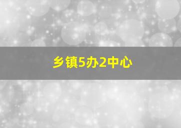 乡镇5办2中心