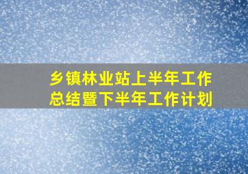 乡镇林业站上半年工作总结暨下半年工作计划