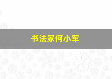 书法家何小军