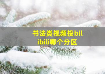 书法类视频投bilibili哪个分区