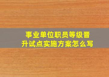 事业单位职员等级晋升试点实施方案怎么写