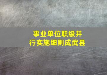 事业单位职级并行实施细则成武县