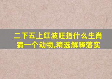 二下五上红波旺指什么生肖猜一个动物,精选解释落实