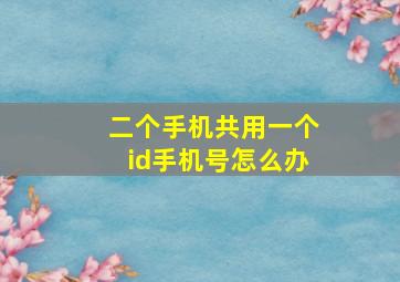 二个手机共用一个id手机号怎么办