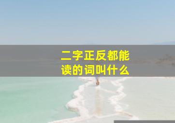 二字正反都能读的词叫什么