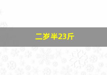 二岁半23斤