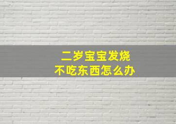 二岁宝宝发烧不吃东西怎么办