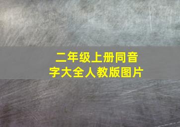 二年级上册同音字大全人教版图片