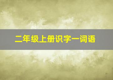 二年级上册识字一词语