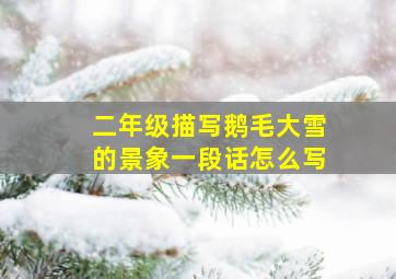 二年级描写鹅毛大雪的景象一段话怎么写