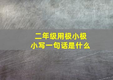 二年级用极小极小写一句话是什么