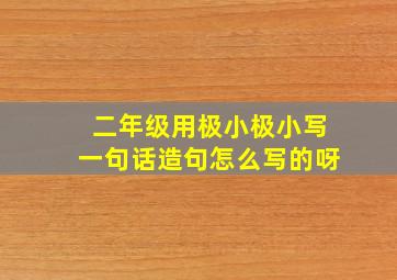 二年级用极小极小写一句话造句怎么写的呀