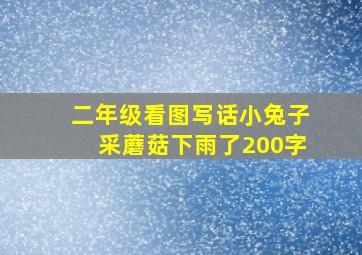 二年级看图写话小兔子采蘑菇下雨了200字