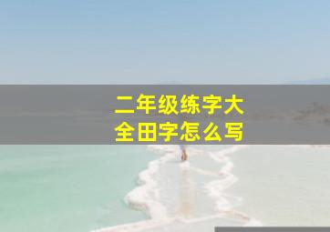 二年级练字大全田字怎么写