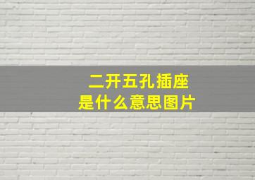 二开五孔插座是什么意思图片