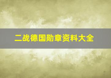 二战德国勋章资料大全