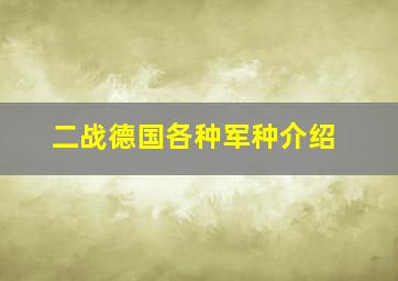 二战德国各种军种介绍