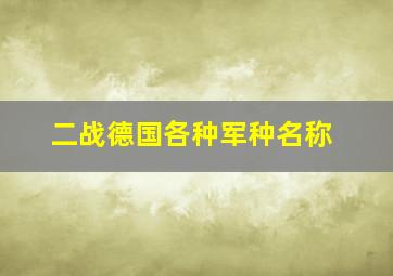 二战德国各种军种名称