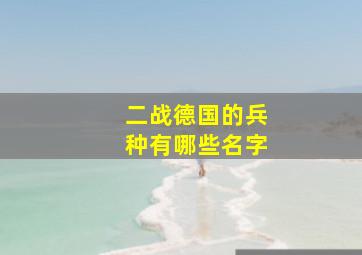 二战德国的兵种有哪些名字